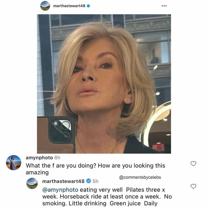 Martha Stewart selfie with visible Instagram comment showing celebs dropping unexpected gems in comments.