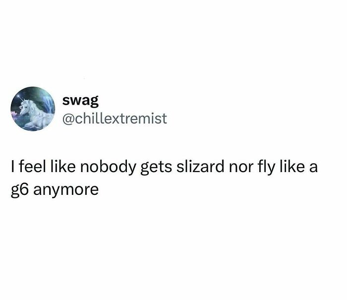 Tweet by user swag humorously stating nobody understands slizard or flying like a g6, showcasing hilarious truths that won the internet.