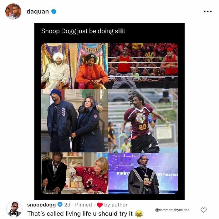 Screenshot of a celebrity comment on a collage of Snoop Dogg moments showcasing unexpected gems in the comments.