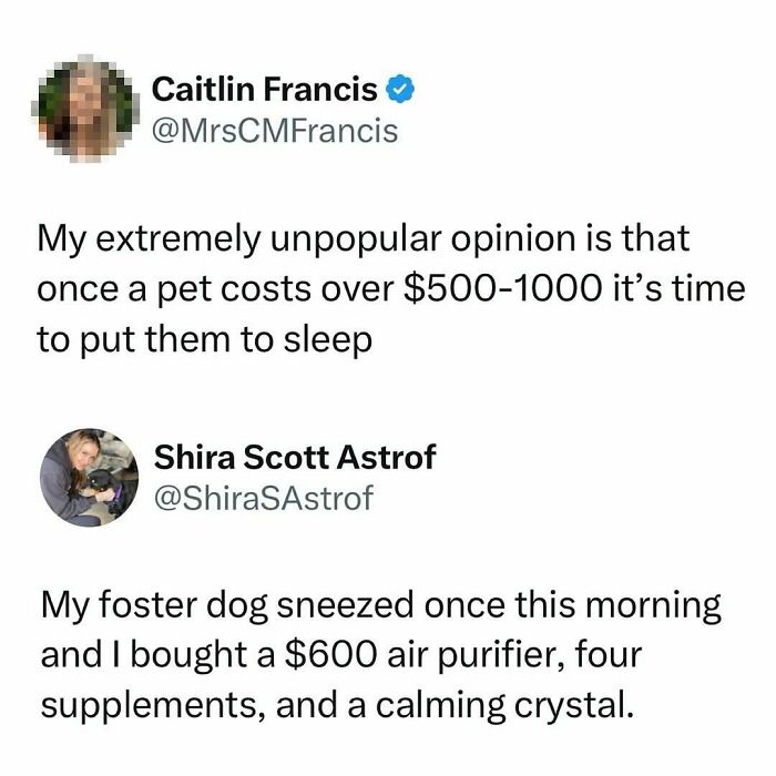 Relatable funny memes featuring humorous opinions on pet expenses and unexpected spending to balance out a tough day.