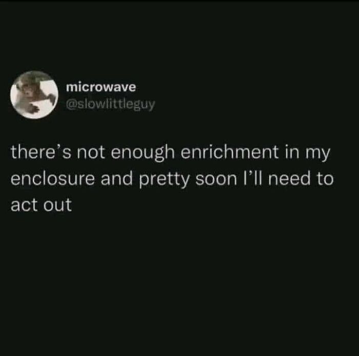 Funny relatable meme text about lack of enrichment leading to acting out, featured in a collection of funny memes.