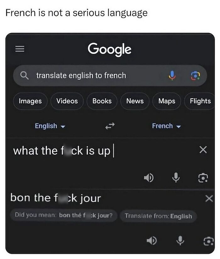 Google Translate screen showing English to French translation of a phrase with humorous relatable funny meme text.