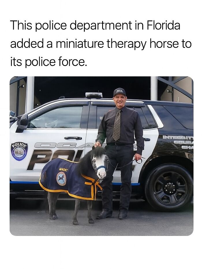 Police officer in Florida with a miniature therapy horse in front of a police car, relatable funny meme about today’s challenges.