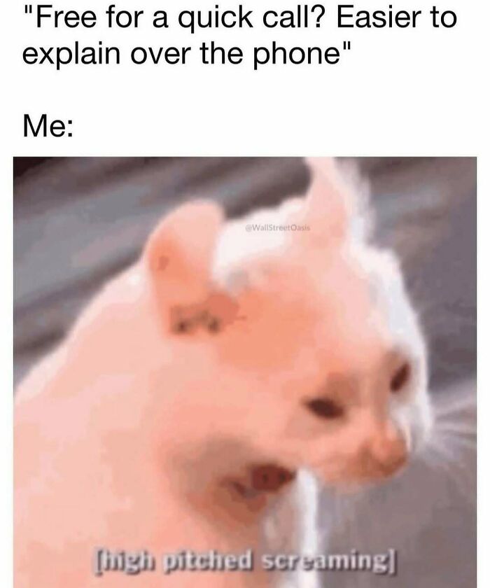 Cat reacting with high pitched screaming meme illustrating introvert struggles after socializing in introvert memes collection.