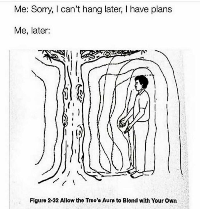 Introvert meme showing a person blending their aura with a tree's to avoid socializing after making plans.