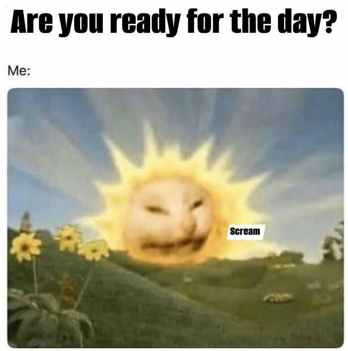 Sun with a distorted face rising over a field of flowers, captioned as an introvert meme about socializing stress.