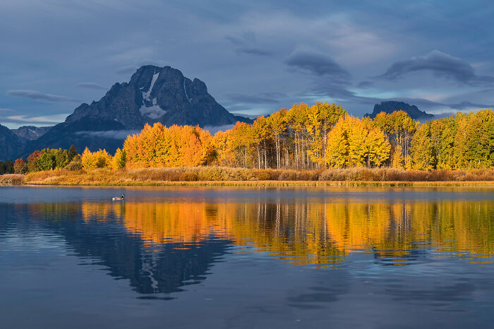 Autumn trees with yellow and orange leaves reflected in water with a mountain backdrop in a stunning wildlife and nature shot.