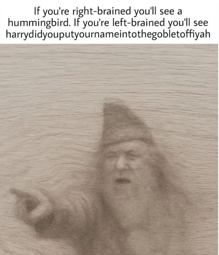 I Don’t See The Hummingbird