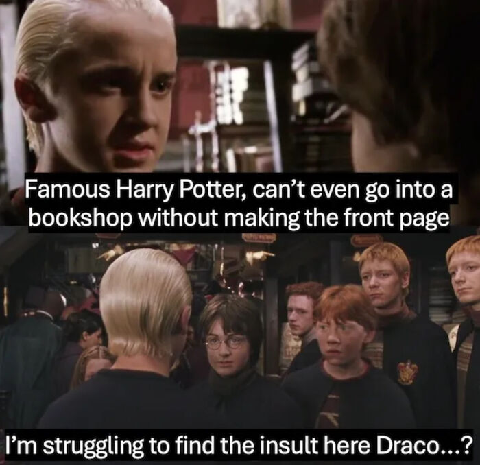 Yeah Malfoy, Could You Explain To Me How Is That Supposed To Offend Harry?