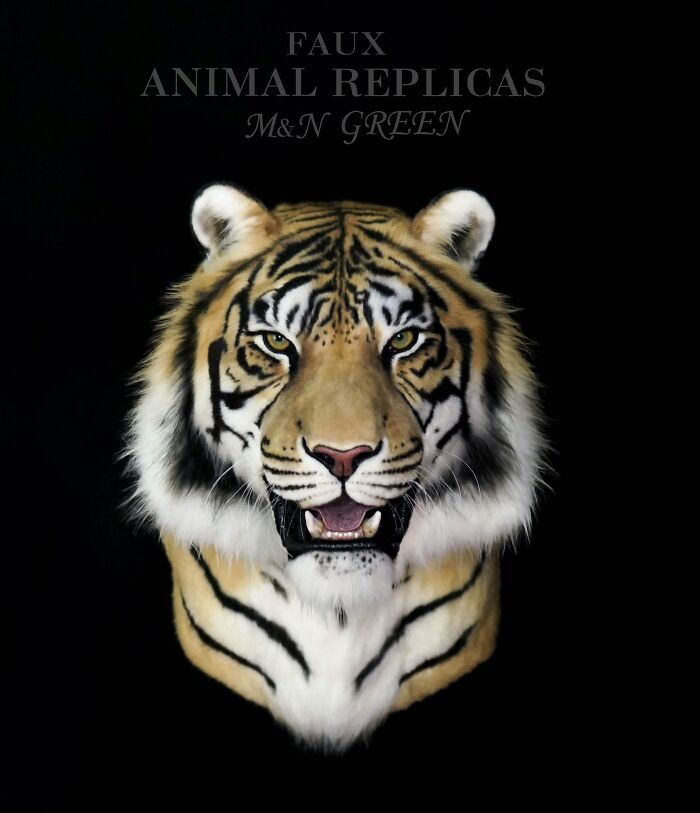 Realistic animal sculpture of a tiger head crafted with synthetic materials, showcasing stunning animal replicas without harming wildlife.