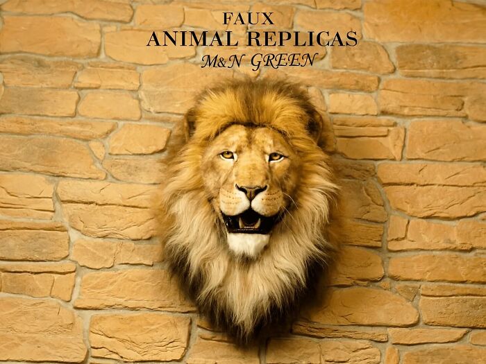 Realistic animal sculpture of a lion crafted with synthetic materials without harming wildlife, displayed on a stone wall.