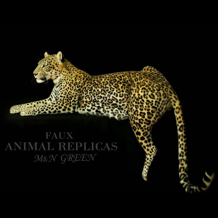 Realistic animal sculpture of a leopard crafted with synthetic materials by artists without harming wildlife.
