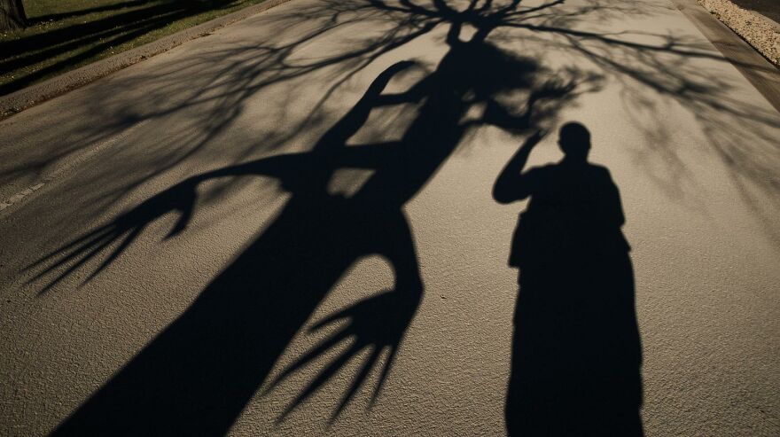 Funny And Strange Things I Notice On My Walks Funny And Strange Things I Notice On My Walks