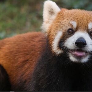 maryzurlinden avatar