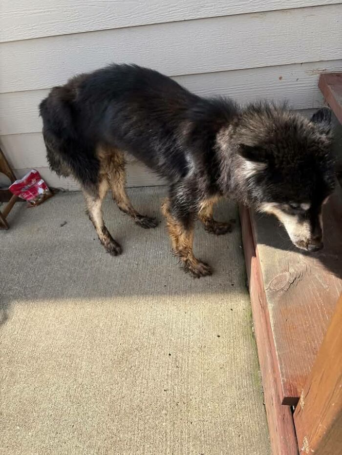 Hidden Costs Of Surrender: What No One Thinks About