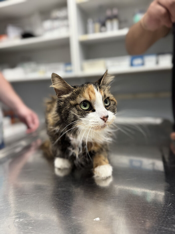 Hidden Costs Of Surrender: What No One Thinks About Hidden Costs Of Surrender: What No One Thinks About