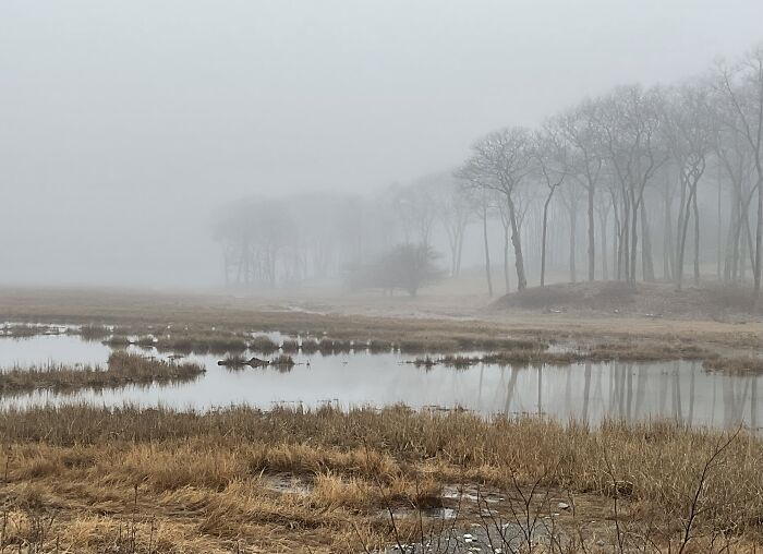 Wetlands, Kittery Point, Maine, USA