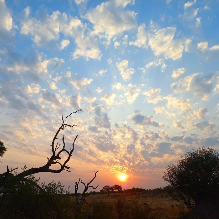 Hwange National Park, Zimbabwe, Winter 2023