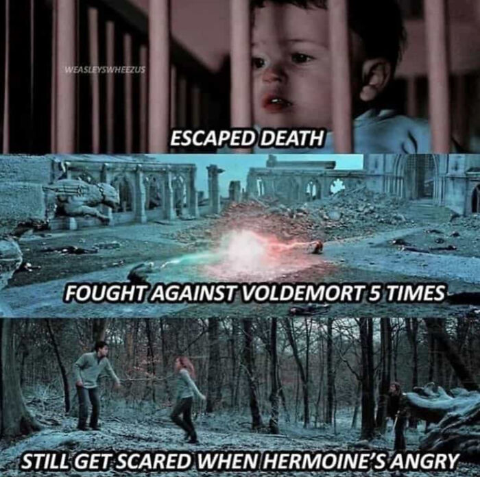 Harry: *escapes Death* No Big Deal Hermione: *yells At Harry* Harry: Ahh I’m So Scared