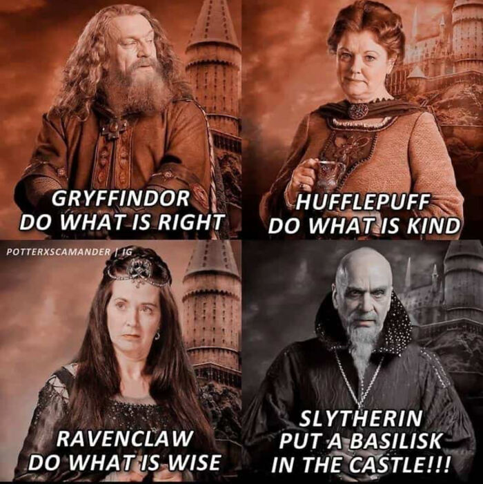 Other Houses: Do The Right Thing Slytherin: Do The Terrifying Thing