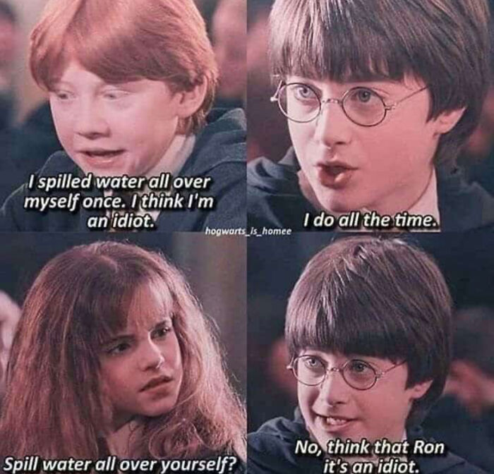 Ron = Idiot, Harry = Hero, Hermione = Wannabe Mediator