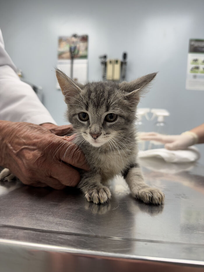 Hidden Costs Of Surrender: What No One Thinks About