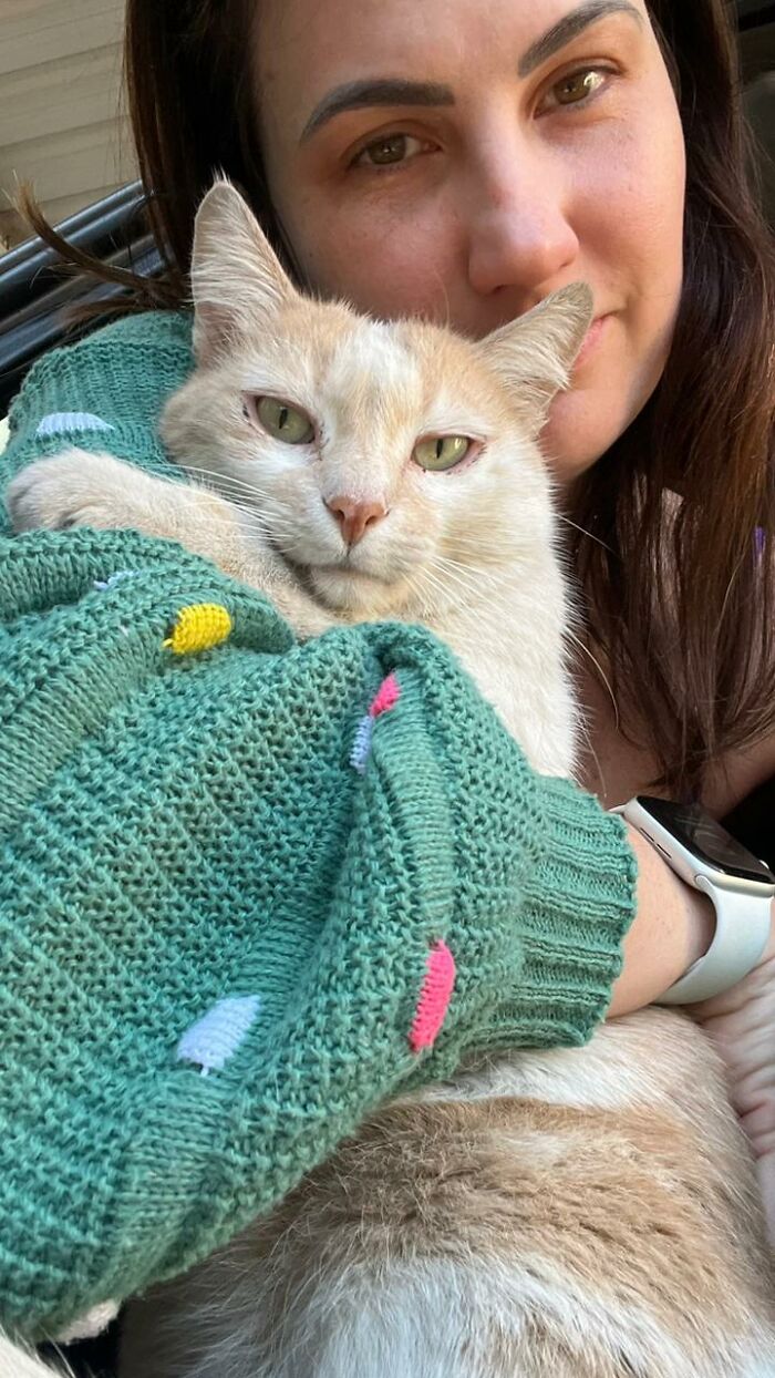 Woman holding a stray cat wrapped in a textured green sweater, showcasing care in a tiny condo converted from a car. Woman holding a stray cat wrapped in a textured green sweater, showcasing care in a tiny condo converted from a car.
