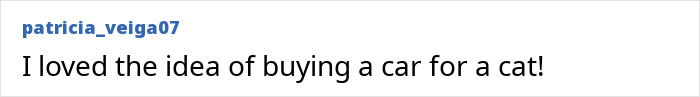 Comment on social media post expressing love for buying a car for a cat, related to car turned tiny condo for cats. Comment on social media post expressing love for buying a car for a cat, related to car turned tiny condo for cats.