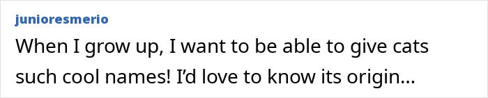 Comment about giving cats cool names, expressing admiration for creativity in caring for stray cats turned into tiny condo. Comment about giving cats cool names, expressing admiration for creativity in caring for stray cats turned into tiny condo.