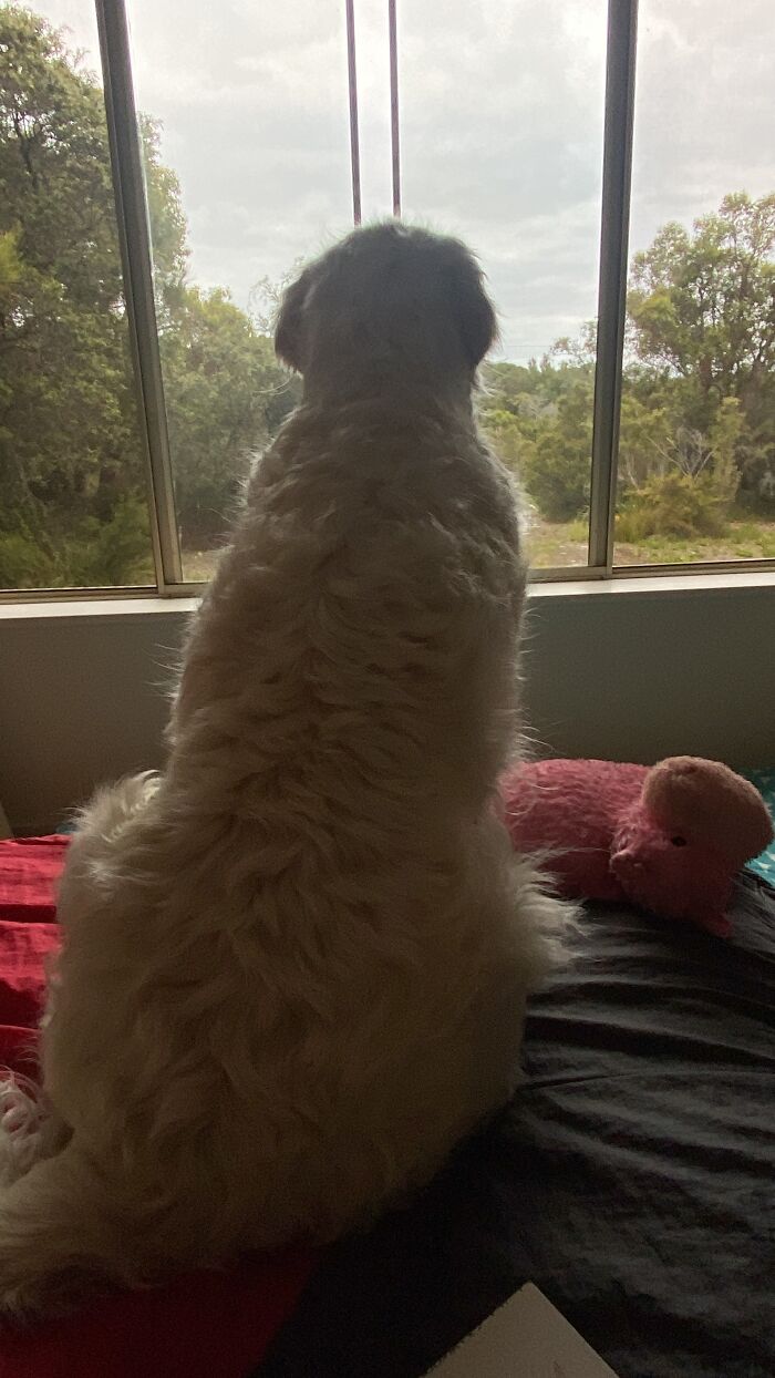 Surveying The Family Land