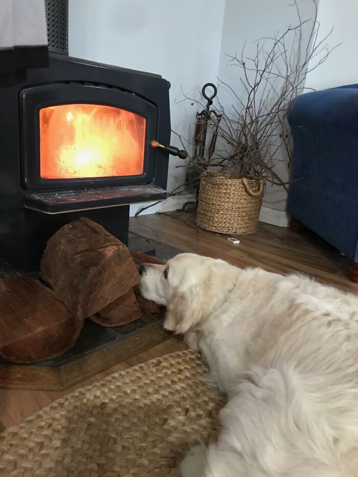 Spending Way Too Much Time Too Close To The Fire, Has Yet To Be Burnt