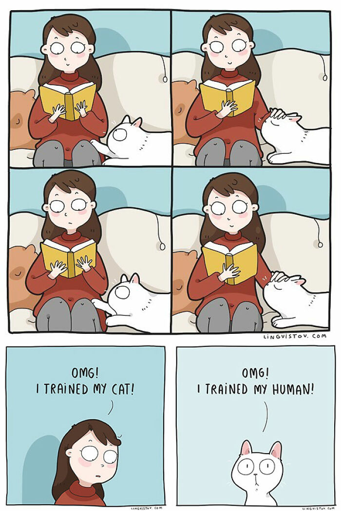 Comic panels showing a cat owner reading to her cat, both surprised saying they trained each other in a fun cat owner comic.