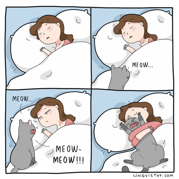 Comic showing a cat repeatedly meowing to wake its owner, capturing a relatable moment for cat owners.
