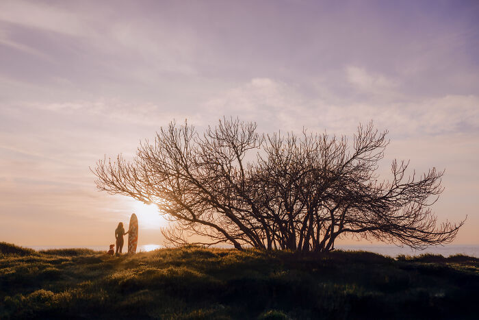 Girl and dog sitting on rocks by the sea with a surfboard, a creative pet photo showcasing companionship at sunset.