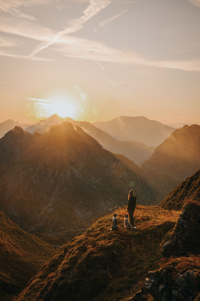 Girl and dog sitting on rocks by the sea with a surfboard, a creative pet photo showcasing companionship at sunset.
