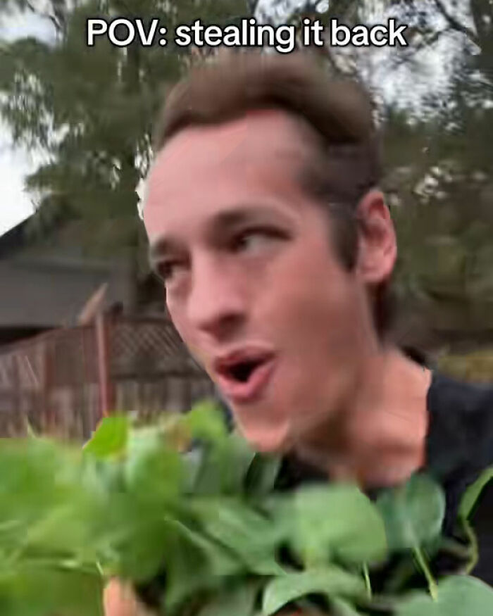 "Call The Cops": Man's Ongoing Plant Feud With House's Former Owner Goes Viral "Call The Cops": Man's Ongoing Plant Feud With House's Former Owner Goes Viral