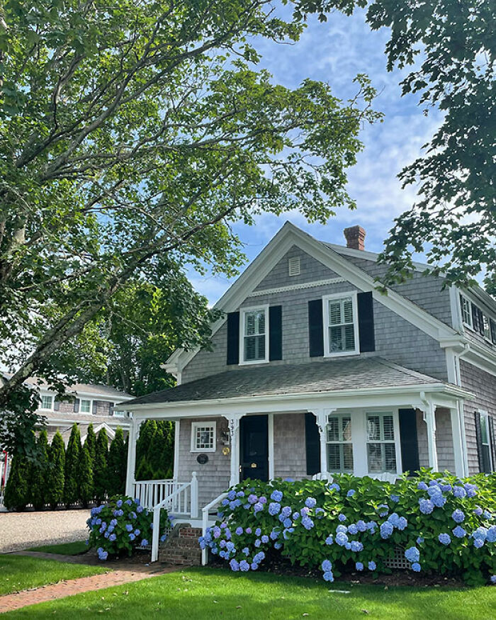 "Call The Cops": Man's Ongoing Plant Feud With House's Former Owner Goes Viral "Call The Cops": Man's Ongoing Plant Feud With House's Former Owner Goes Viral