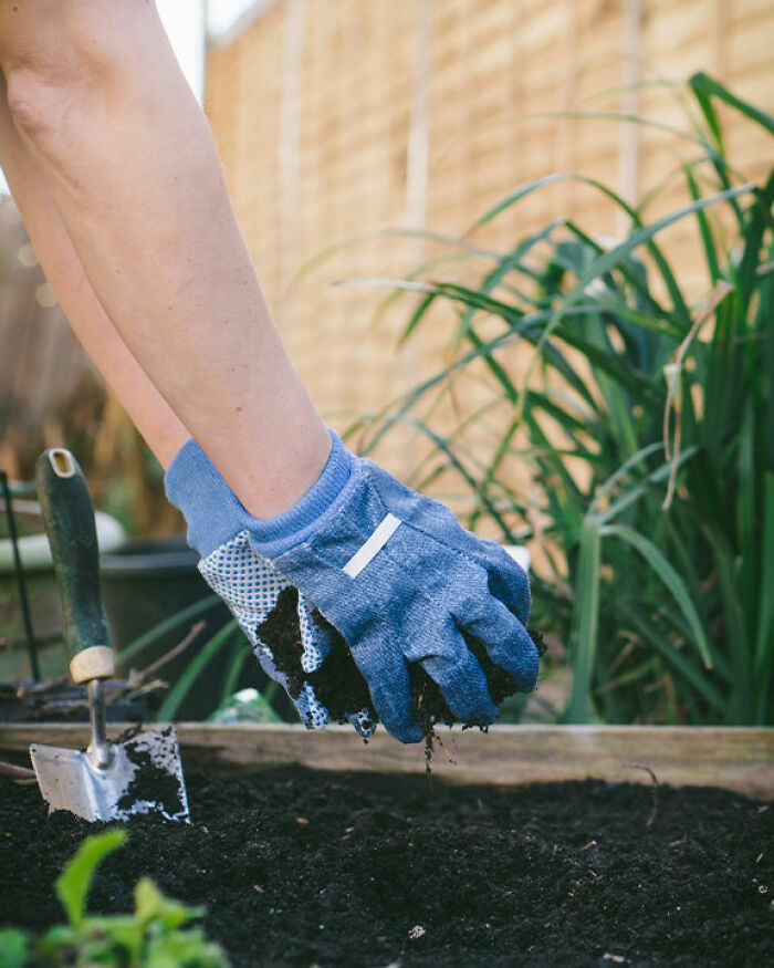 "Call The Cops": Man's Ongoing Plant Feud With House's Former Owner Goes Viral "Call The Cops": Man's Ongoing Plant Feud With House's Former Owner Goes Viral
