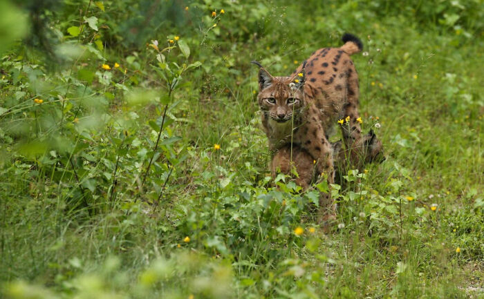 42 Creepy Moments People Can’t Forget That Keep Coming Back To Them