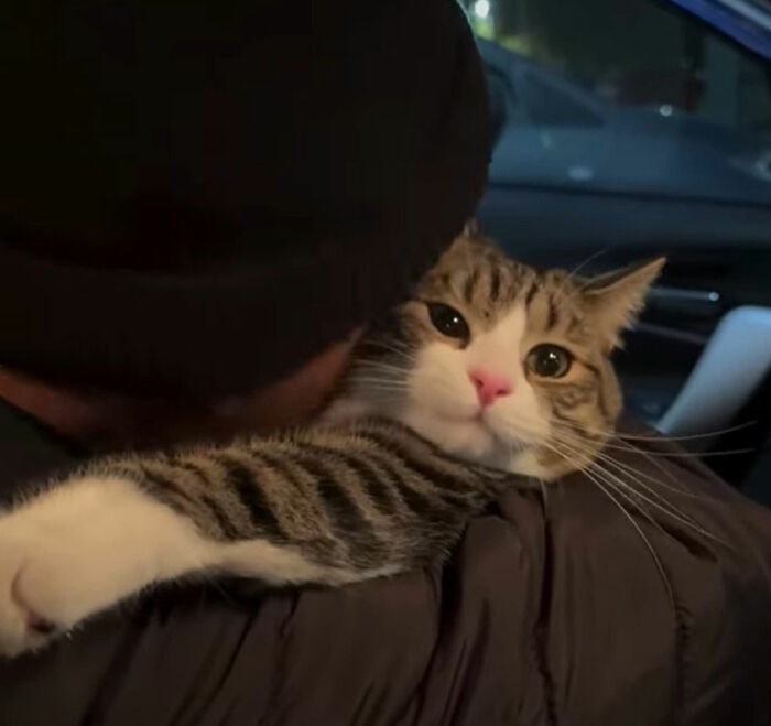 Digital art of a person in a black beanie holding a funny cat, capturing viral cat moments in creative artwork.