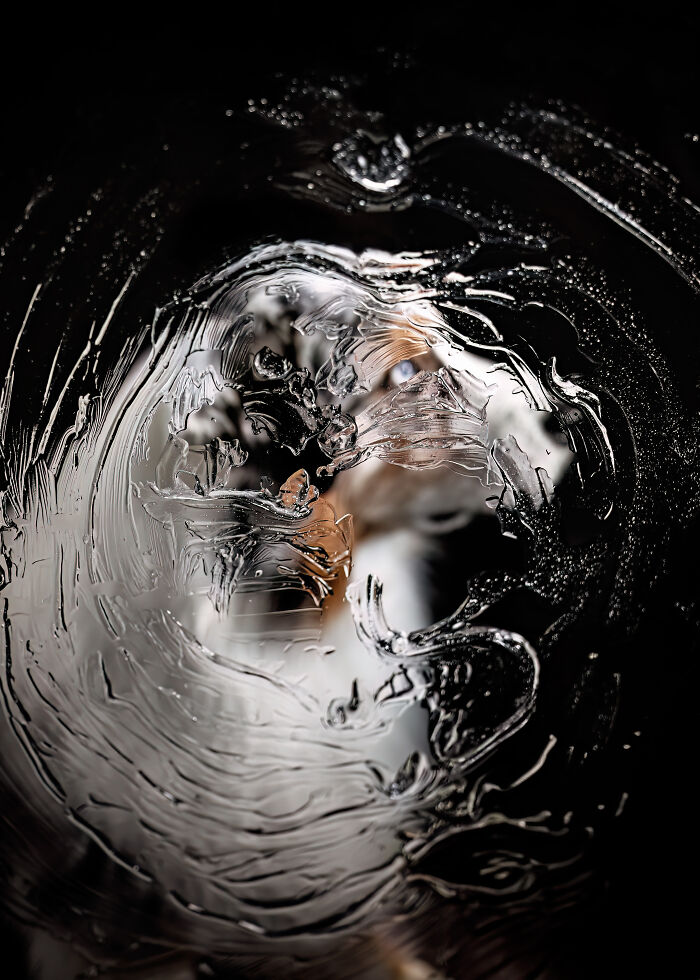 Golden retriever jumping into a lake at sunset, capturing a heartwarming and creative pet photo award winner.