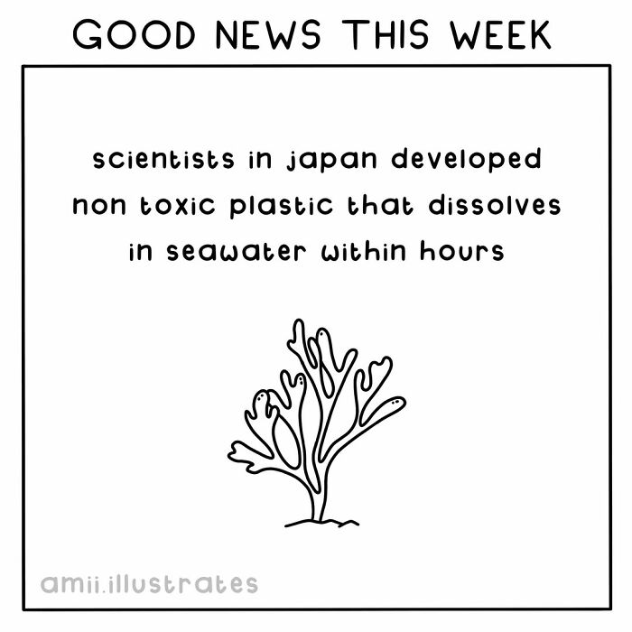 Scientists in Japan created non toxic plastic that dissolves in seawater, a positive thing happening in the world this year.
