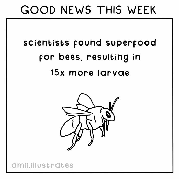 Illustration of a bee with text about scientists finding superfood for bees boosting larvae growth positive things this year.
