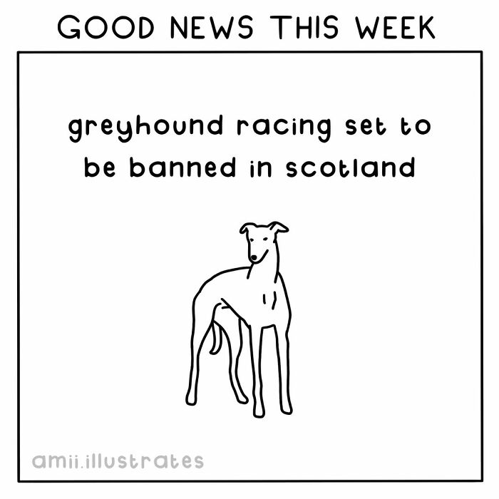Good news this week with positive things including greyhound racing set to be banned in Scotland.