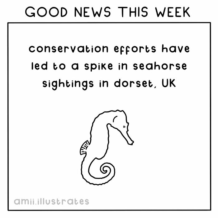 Hand-drawn seahorse with text about conservation efforts leading to more seahorse sightings, highlighting positive things in the world.