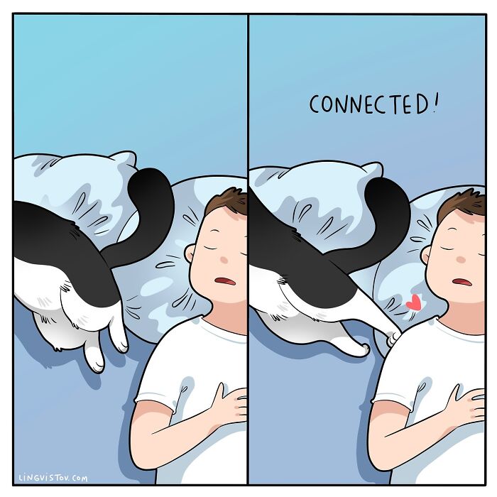 Comic of a cat touching a sleeping owner's cheek, showing a cute moment relatable to cat owners in fun comics.