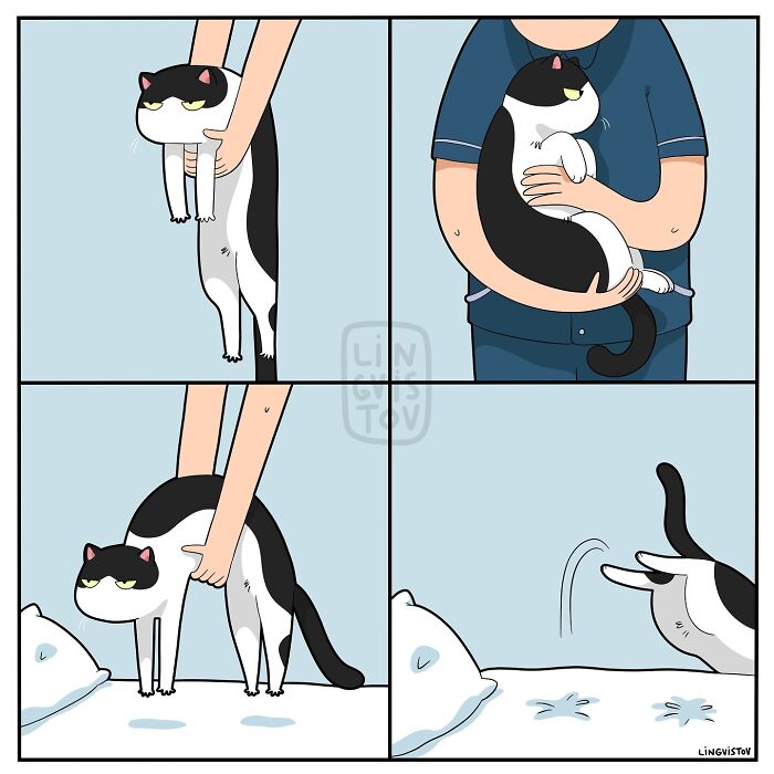 Cartoon showing a cat owner trying to hold and pet a black and white cat in a humorous comic style.