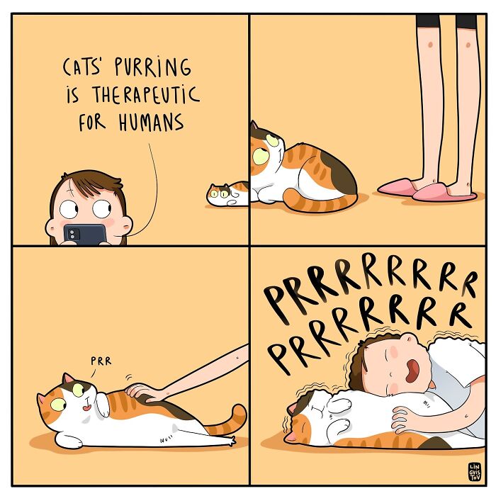 Comic strip showing a cat purring and comforting a cat owner, a relatable moment for cat owners in fun comics.