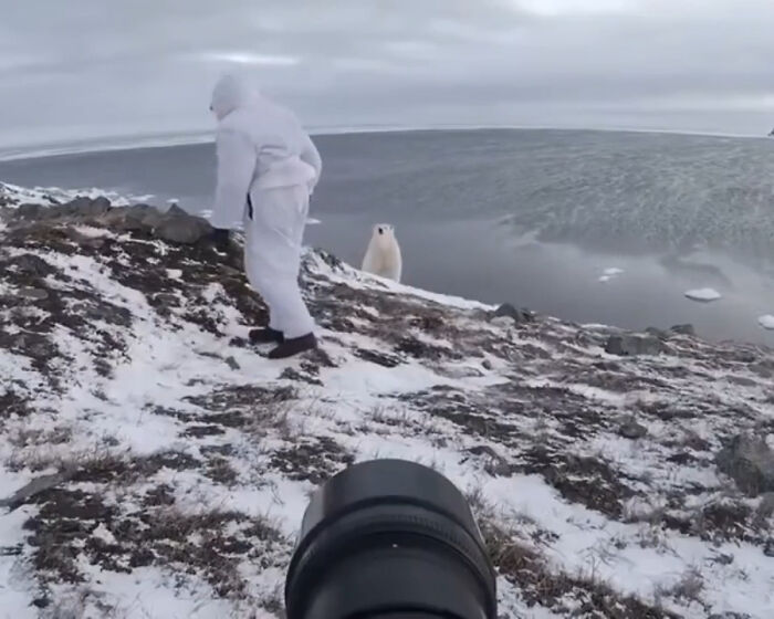 Wildlife worker in white suit startled by a polar bear near icy terrain, illustrating jobs that should pay more based on creepy photos.
