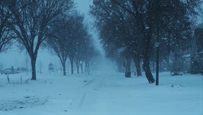 Liminal Winter Street. It Looks Like Fog But It's All Snowfall. The Visibility Was More Limited Than My Camera Picked Up